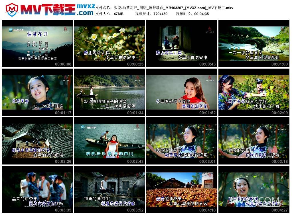 张莹-油茶花开_国语_流行歌曲_MB103267